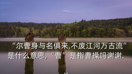 “爾曹身與名俱來,不廢江河萬古流”是什么意思,“曹”是指曹操嗎謝謝...