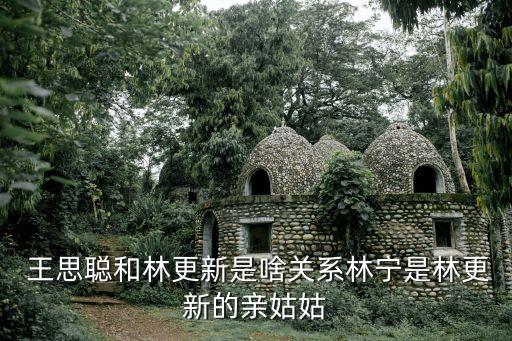 王思聰和林更新是啥關系林寧是林更新的親姑姑