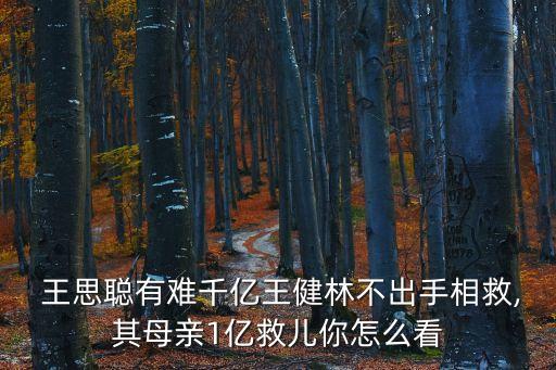  王思聰有難千億王健林不出手相救,其母親1億救兒你怎么看