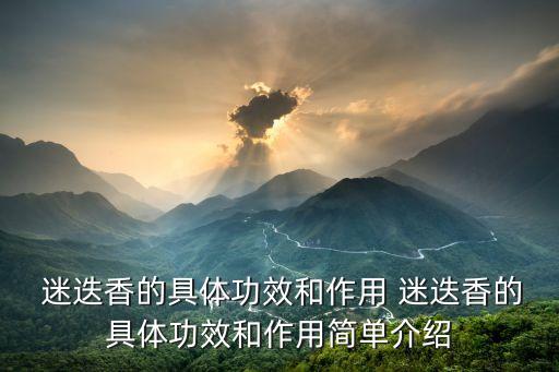 迷迭香的功效與作用,迷迭香可作為純天然綠色食品添加劑