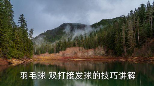 羽毛球雙打技巧,打羽毛球要學(xué)什么?