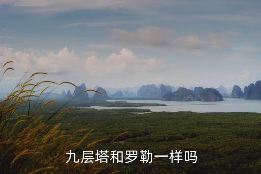 九層塔,金不換九層塔和羅勒的區(qū)別