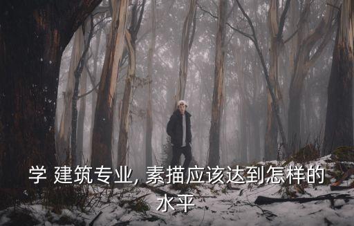 學 建筑專業, 素描應該達到怎樣的水平