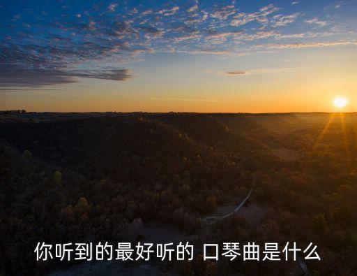 你聽到的最好聽的 口琴曲是什么