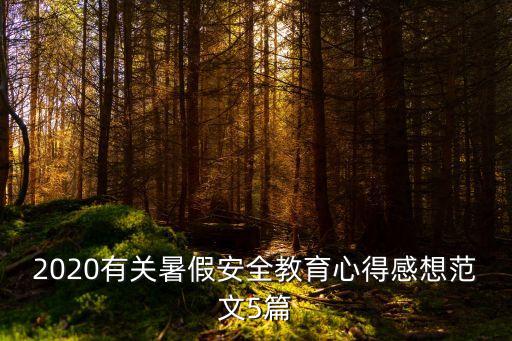 2020有關(guān)暑假安全教育心得感想范文5篇