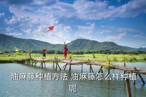 油麻藤,如何種油麻藤?這些注意事項要做到!