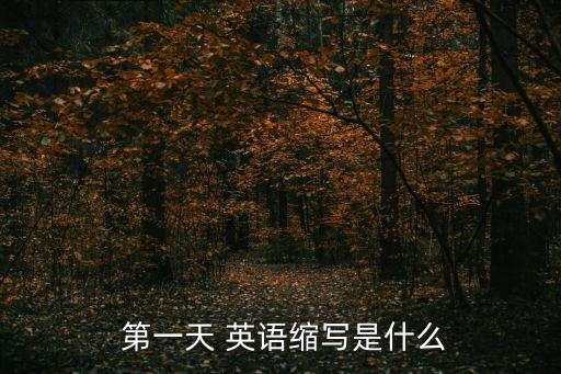 第一天英語,第一集選區競選廣播