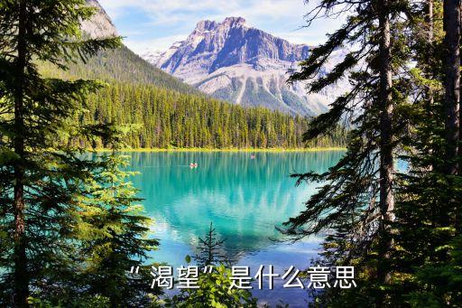 “ 渴望”是什么意思