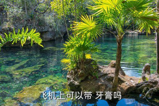 牙膏能帶上飛機(jī)嗎,飛機(jī)上可以帶牙膏嗎?