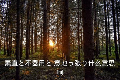 素直と不器用と 意地っ張り什么意思啊