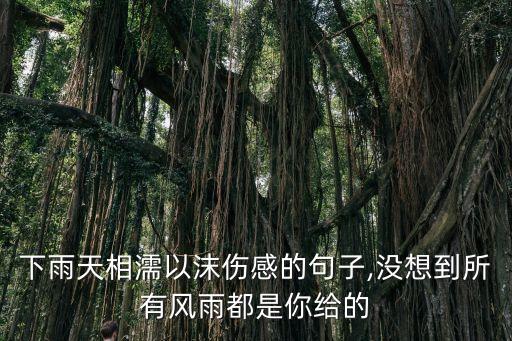 愛你我不后悔,一萬個(gè)舍不得我愛你