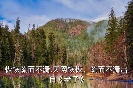 恢恢疏而不漏,天網(wǎng)恢恢，疏而不漏出自《老子》