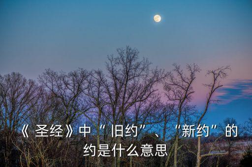 《 圣經》中“ 舊約”、“新約”的約是什么意思