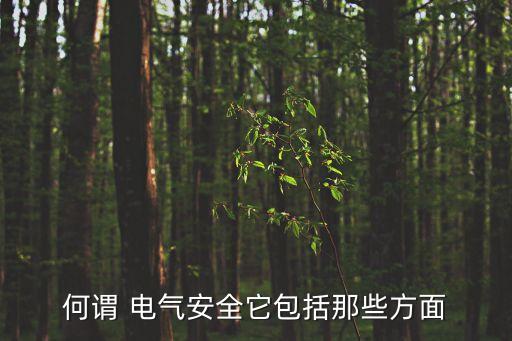 電氣安全,電氣安全技術措施1.盡可能使用安全電壓