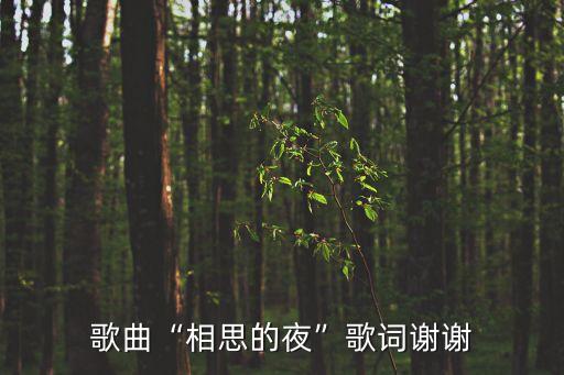 歌曲“相思的夜”歌詞謝謝