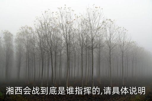 芷江戰(zhàn)役,中日戰(zhàn)爭史書上稱為芷江攻略會戰(zhàn)