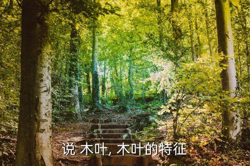 說 木葉, 木葉的特征
