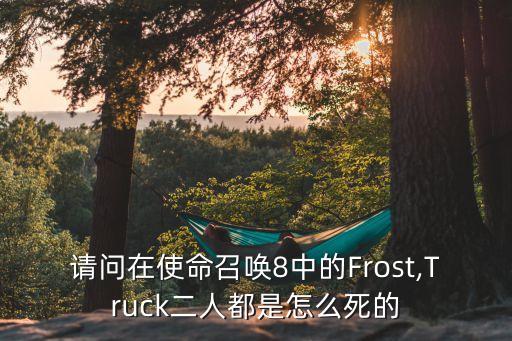 grinch,玩家為掩護(hù)price和yuri撤退犧牲了