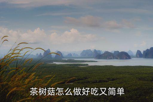  茶樹菇怎么做好吃又簡單