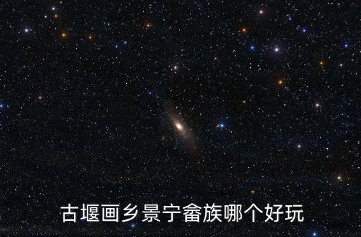 古堰畫鄉,古堰畫鄉村規劃項目:建設展示中心和休閑度假村
