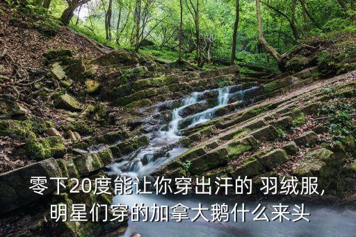零下20度能讓你穿出汗的 羽絨服, 明星們穿的加拿大鵝什么來頭