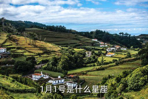 1月1,中國農歷正月初一改為春節陽歷初一為大年初一