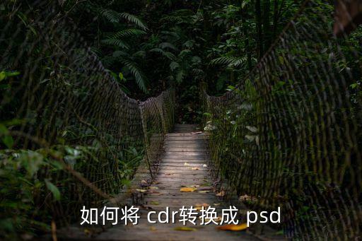 cdr轉psd,點擊轉換為地圖按鈕即可設置地圖參數