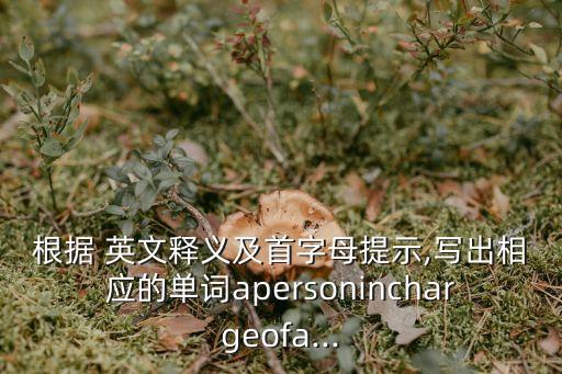 根據英文,統計:英文怎么說?有根據的