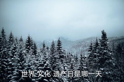 世界 文化 遺產(chǎn)日是哪一天