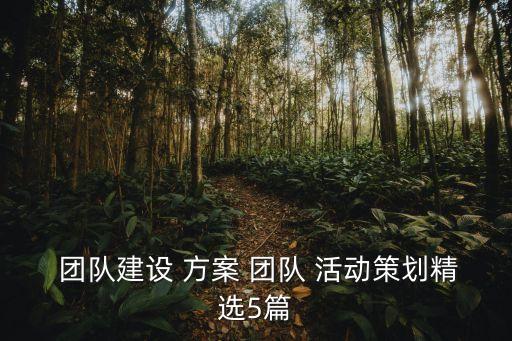  團隊建設 方案 團隊 活動策劃精選5篇