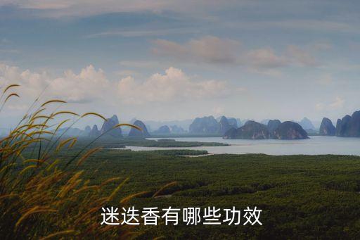  迷迭香有哪些功效