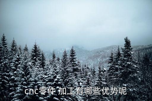 零部件加工,零件加工可選；最便宜也要20多萬元