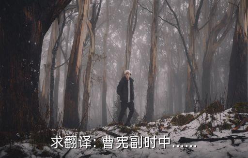 曹憲,曹華曹憲是2022周年的武將?