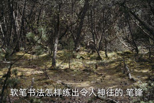 軟筆書法怎樣練出令人神往的 筆鋒