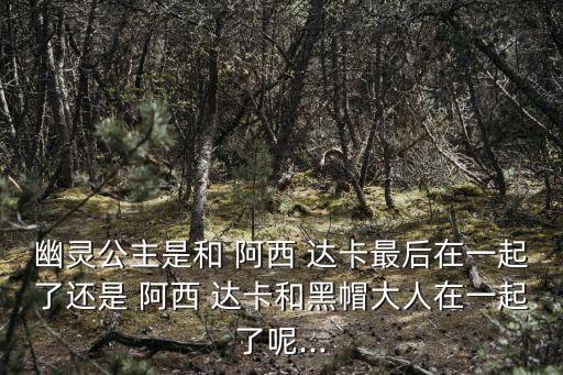 幽靈公主是和 阿西 達(dá)卡最后在一起了還是 阿西 達(dá)卡和黑帽大人在一起了呢...