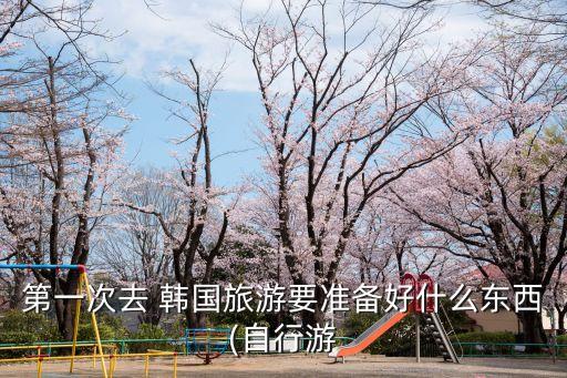 第一次去 韓國旅游要準備好什么東西(自行游