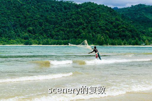  scenery的復(fù)數(shù)