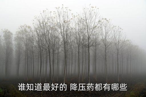 誰知道最好的 降壓藥都有哪些