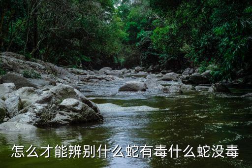 無(wú)毒蛇,怎么區(qū)別有毒和無(wú)毒蛇?看這里!