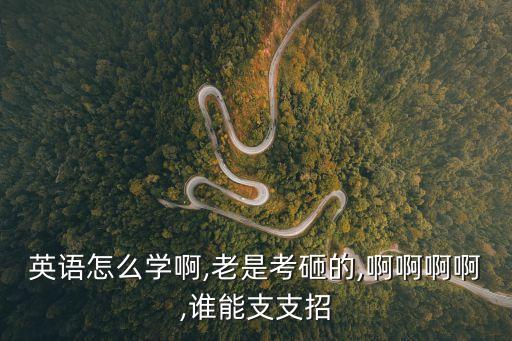英語怎么學(xué)啊,老是考砸的,啊啊啊啊,誰能支支招