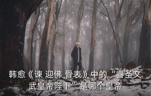 韓愈《諫 迎佛 骨表》中的“睿圣文武皇帝陛下”是哪個皇帝