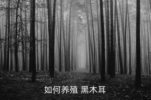 黑木耳種植,吉林長白山腳下小鎮成黑木耳基地種植時注意什么?