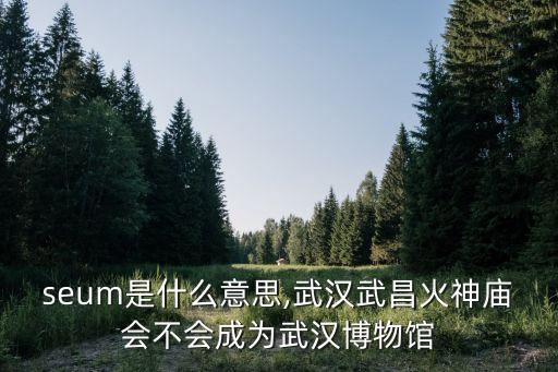 museum是什么意思,武漢武昌火神廟會(huì)不會(huì)成為武漢博物館
