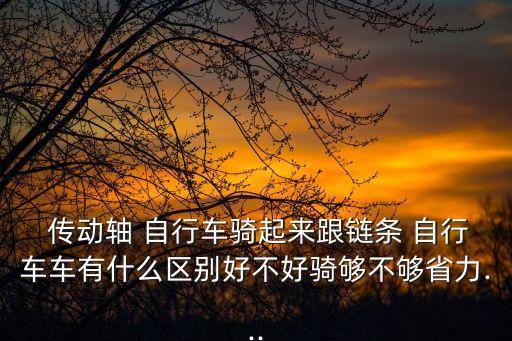  傳動軸 自行車騎起來跟鏈條 自行車車有什么區別好不好騎夠不夠省力...
