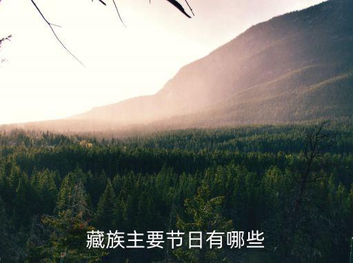藏族主要節日有哪些