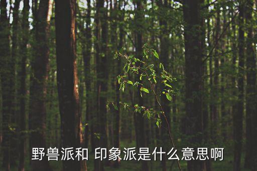 野獸派和 印象派是什么意思啊