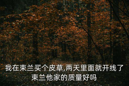 我在束蘭買個皮草,兩天里面就開線了束蘭他家的質(zhì)量好嗎