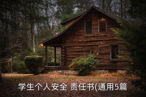 學(xué)生個人安全 責(zé)任書(通用5篇