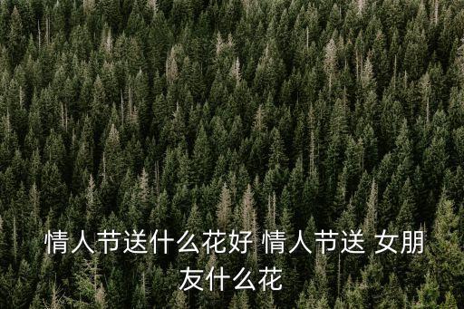  情人節(jié)送什么花好 情人節(jié)送 女朋友什么花