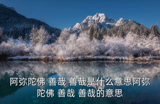 善哉善哉,善哉:投資對(duì)流行不好?